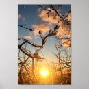 Search for limb posters Sunset