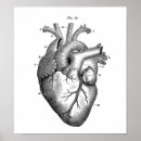 Search for anatomical heart art Doctor