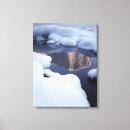 Search for landforms art North america