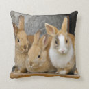 Search for bunny rabbit cushions Pet