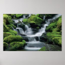 Search for wa posters Forest