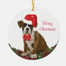 Search for boxer dog christmas tree decorations Festive