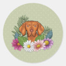 Search for hungarian vizsla stickers Nature