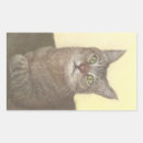 Search for abyssinian stickers Cat