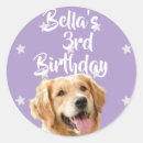 Search for pets stickers Dogs