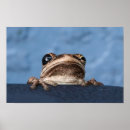 Search for hanging posters Inspiring