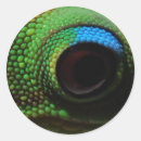 Search for eyeball stickers Photography