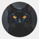 Search for yellow cat eyes stickers Black