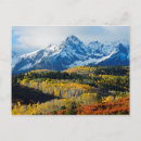 Search for high angle view cards Colour image