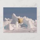 Search for threatening postcards Usa