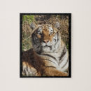 Search for regal puzzles Cats