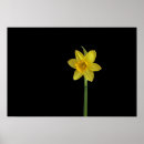 Search for yellow and black posters Pretty
