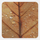 Search for botany stickers Background