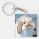 Search for brown rabbit key rings Easter