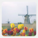 Search for dutch tulip stickers Windmill
