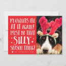 Search for funny cat image cards Dog