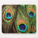 Search for plumed mouse mats Peacock