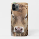 Search for calf iphone cases Cow
