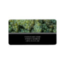 Search for vineyard photography Vineyards