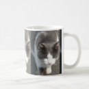 Search for grey white cat mugs Animals