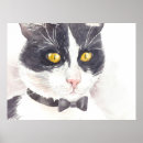 Search for tux cat posters Pet