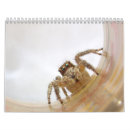 Search for insect calendars Wasp