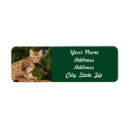 Search for domestic return address labels Cat