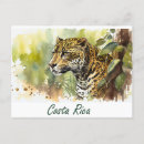 Search for costa postcards Wildlife