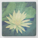 Search for lily coasters Green