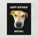 Search for puppy face postcards Dogs