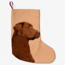 Search for chocolate lab christmas stockings Cute