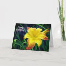Search for daylilies cards Garden