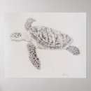 Search for turtle posters Sea turtle drawing