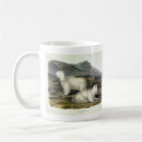 Search for mountain goats mugs Rocky mountain goat