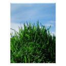 Search for endless posters Green