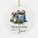 Search for raccoon christmas tree decorations Wildlife