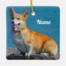 Search for corgi christmas decor White