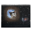 Search for surreal calendars Animals