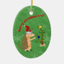 Search for armadillo christmas tree decorations Funny