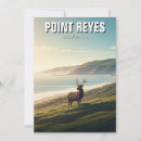 Search for seashore cards Ocean