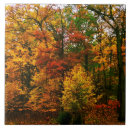 Search for orange tree tiles Forest