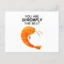 Search for shrimp postcards Summer