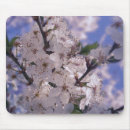 Search for tree top mouse mats Blue sky