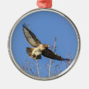 Search for red tail hawk christmas tree decorations Hawks