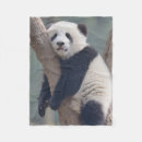 Search for panda blankets Cute