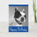 Search for french bulldog puppy cards Puppies