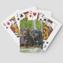Search for chocolate playing cards Puppy