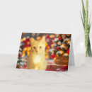 Search for orange cat christmas cards Ginger
