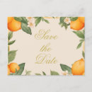 Search for wedding announcement postcards Modern