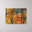 Search for fall foliage canvas prints Leaf